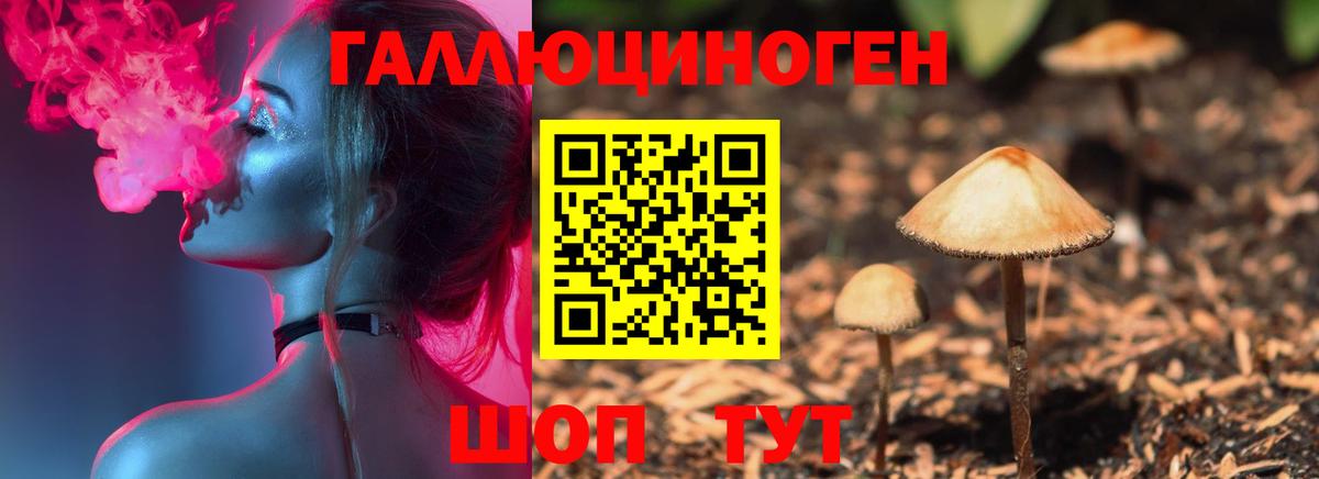 Камень-на-Оби  Галлюциногенные грибы ЛСД  Вход с VPN 