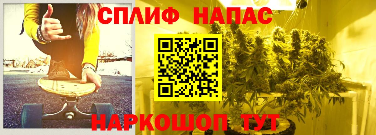 Бошки марихуана сатива  Вход с VPN  Камень-на-Оби  Каннабис марихуана 